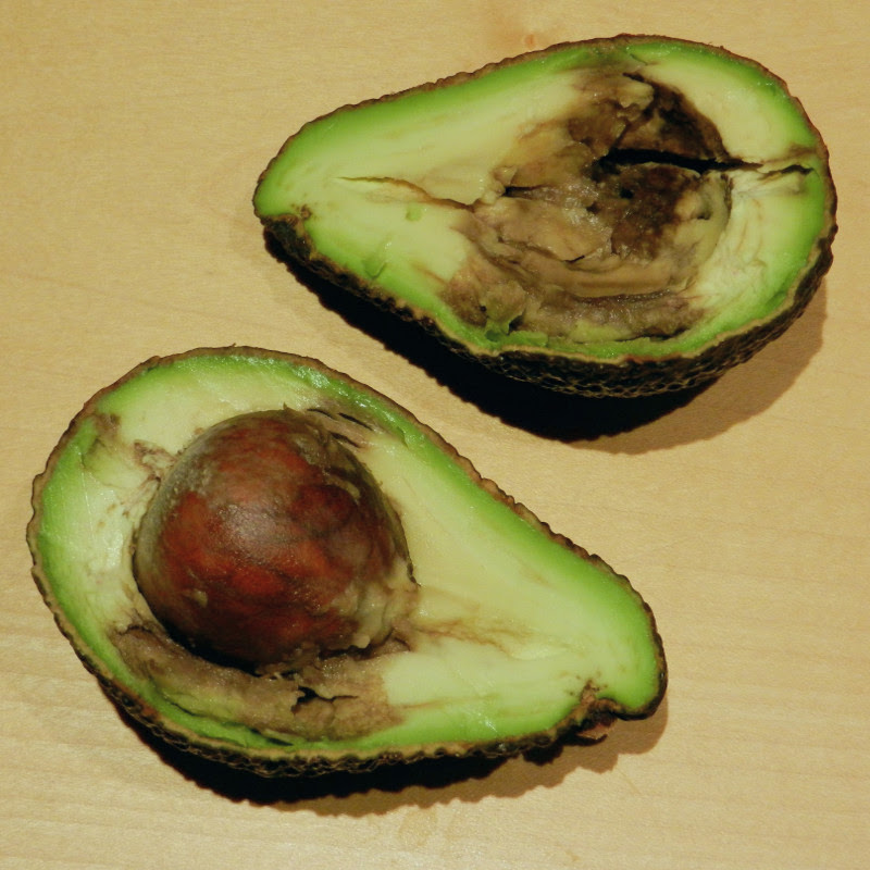 Enlarged view: Avocado sliced open with rotten spots