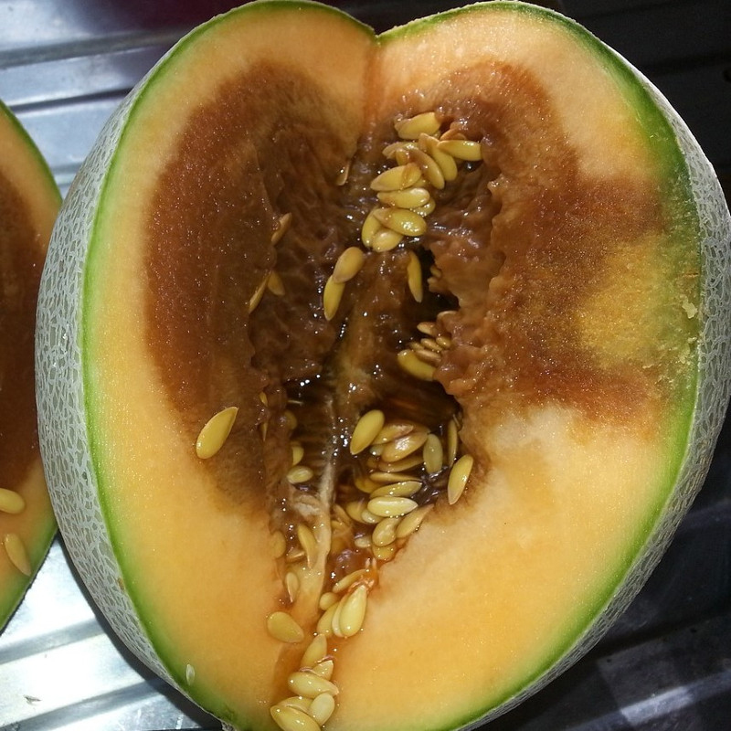 Enlarged view: Rotten sliced melon